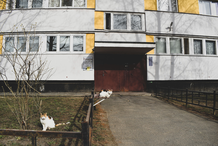 Image-normal