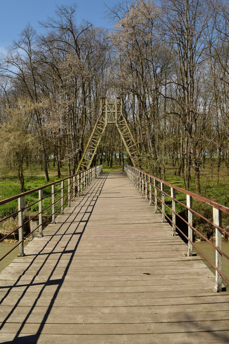 Image-normal