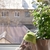 Image-square_50