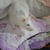 Image-square_50