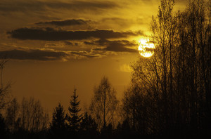 Image-preview_300x200