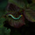 Image-square_50