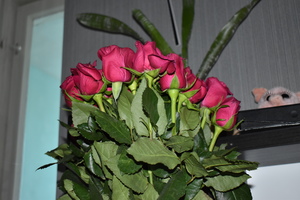 Image-preview_300x200