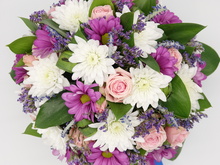 Image-rectangle_220_165
