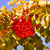 Image-square_50