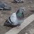Image-square_50