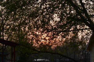 Image-preview_300x200