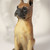 Image-square_50