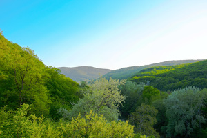 Image-preview_300x200