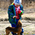 Image-square_50