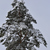 Image-square_50