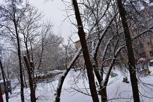 Image-preview_300x200