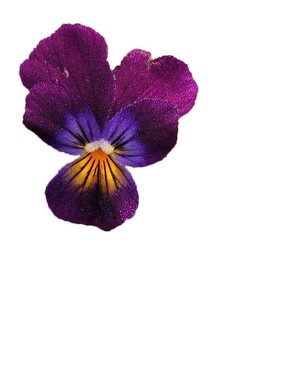 Image-preview_300x200