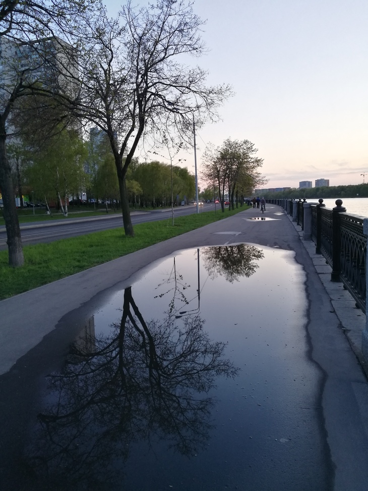 Image-normal