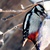Image-square_50