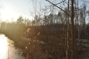 Image-preview_300x200