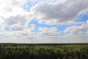 Image-preview_300x200