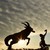 Image-square_50
