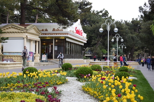 Image-preview_300x200