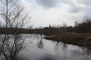 Image-preview_300x200