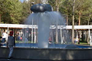 Image-preview_300x200