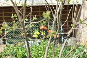 Image-preview_300x200