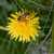 Image-square_50