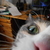 Image-square_50