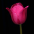 Image-square_50
