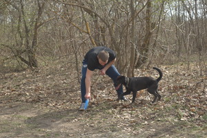 Image-preview_300x200