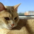 Image-square_50