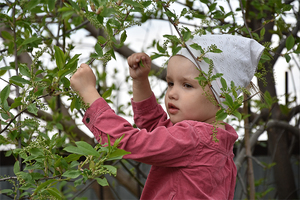 Image-preview_300x200