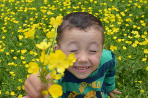 Image-preview_300x200