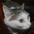 Image-square_50