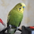Image-square_50