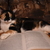Image-square_50