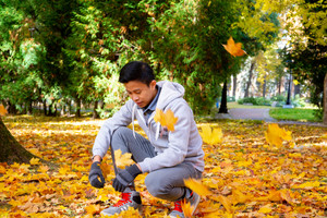 Image-preview_300x200