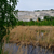 Image-square_50