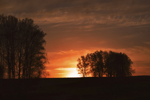 Image-preview_300x200