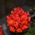 Image-square_50