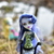 Image-square_50