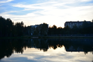 Image-preview_300x200