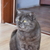 Image-square_50