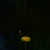 Image-square_50