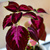 Image-square_50