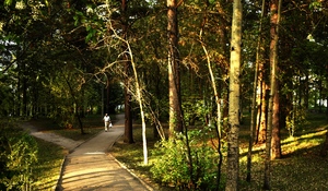 Image-preview_300x200