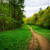 Image-square_50