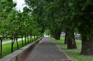 Image-preview_300x200