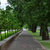 Image-square_50