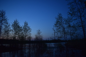 Image-preview_300x200